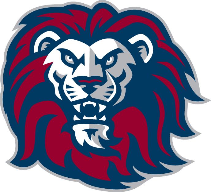 Loyola Marymount Lions 2001-Pres Alternate Logo v6 iron on transfers for fabric